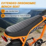 Clearance : V101 Ebike - Сурет 8